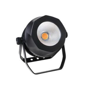 Outdoor LED light